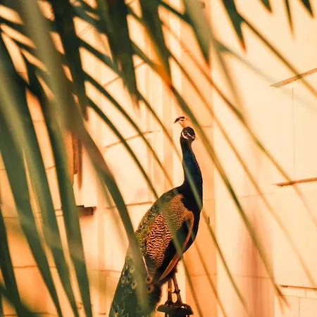 La Zoologie&spa Bordeaux