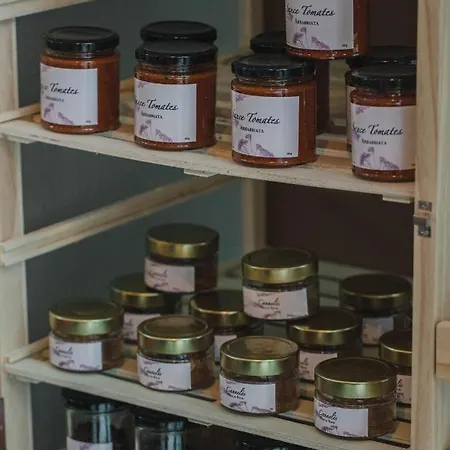 La Zoologie & Bordeaux