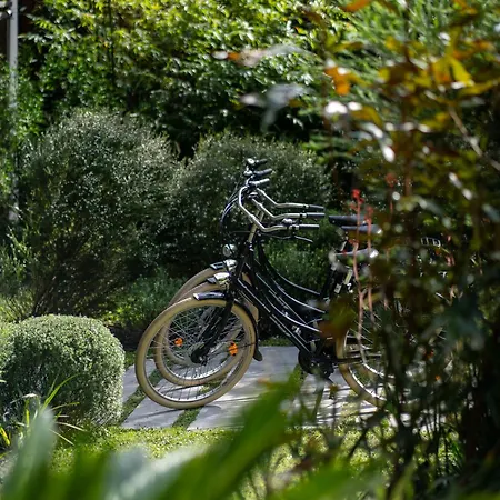 La Zoologie&spa Bordeaux
