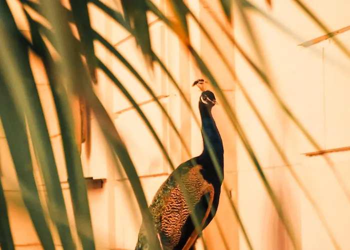 La Zoologie & Burdeos