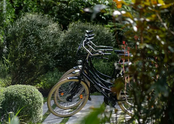 La Zoologie & Bordeaux